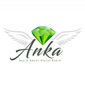 Digiweb Teknoloji Hiz. Ltd. Şti. - http://www.ankaguzellik.com